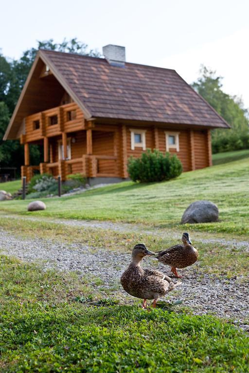 Partsilombi Holiday Home Otepää Exteriér fotografie