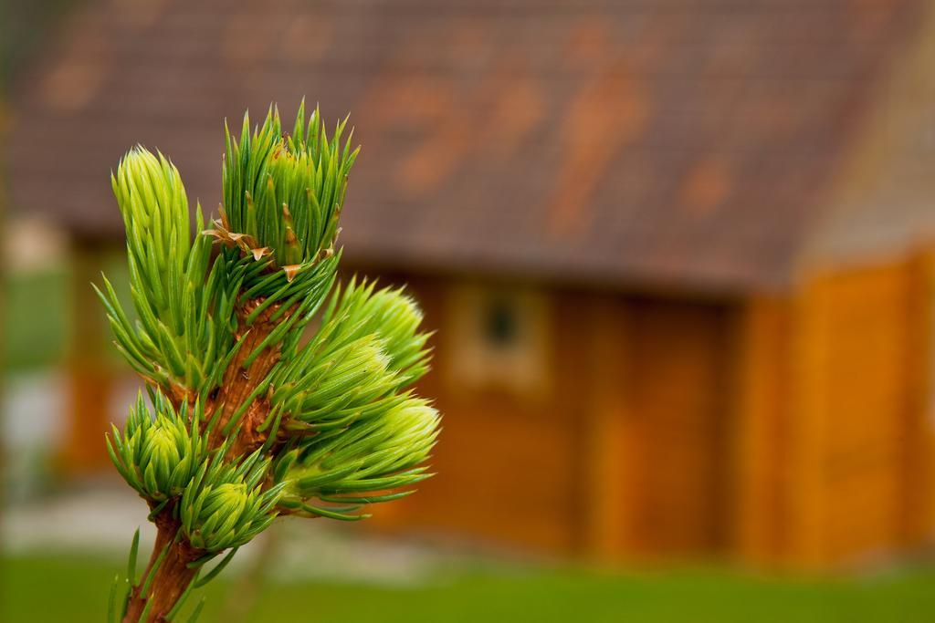 Partsilombi Holiday Home Otepää Exteriér fotografie